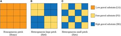 Effects of AMF on plant nutrition and growth depend on substrate gravel content and patchiness in the karst species Bidens pilosa L